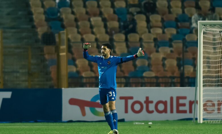 مصطفى شوبير