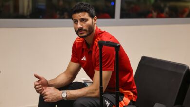 محمد الشناوي